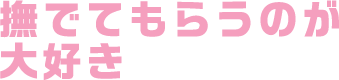 撫でてもらうのが大好き