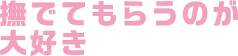 撫でてもらうのが大好き