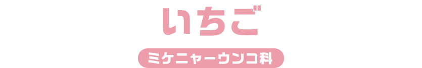 いちご / ミケニャーウンコ科