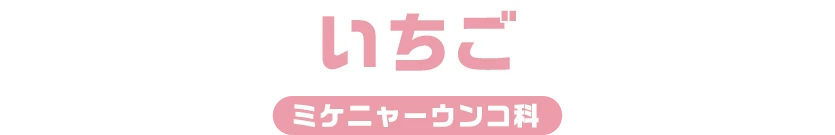 いちご / ミケニャーウンコ科