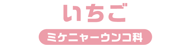 いちご / ミケニャーウンコ科