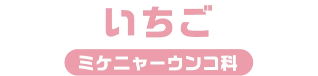 いちご / ミケニャーウンコ科