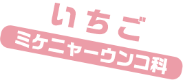 いちご / ミケニャーウンコ科