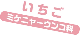いちご / ミケニャーウンコ科