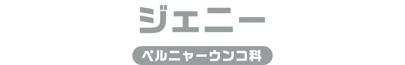 ジェニー / ペルニャーうんこ科
