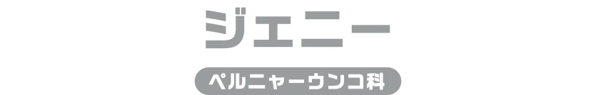 ジェニー / ペルニャーうんこ科