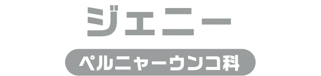 ジェニー / ペルニャーうんこ科