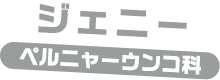 ジェニー / ペルニャーうんこ科