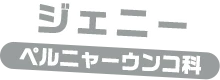 ジェニー / ペルニャーうんこ科