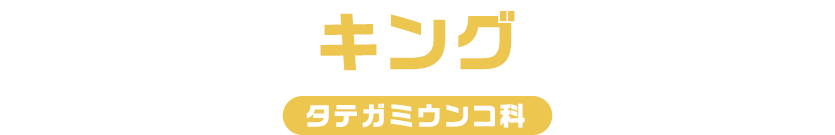 キング / タテガミうんこ科
