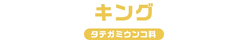 キング / タテガミうんこ科
