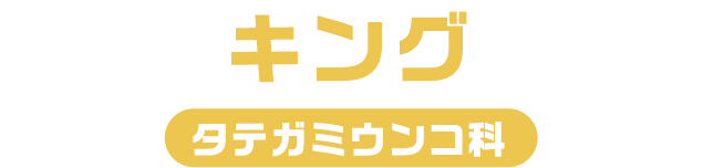 キング / タテガミうんこ科