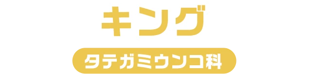 キング / タテガミうんこ科