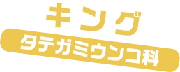 キング / タテガミうんこ科