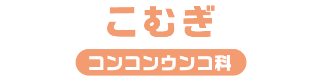 こむぎ / コンコンウンコ科