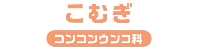 こむぎ / コンコンウンコ科