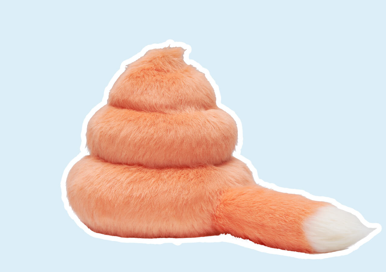 こむぎ