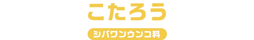 こたろう / コンコンウンコ科
