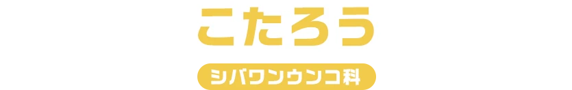こたろう / コンコンウンコ科