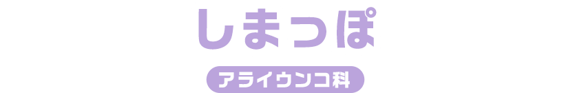 しまっぽ / アライウンコ科