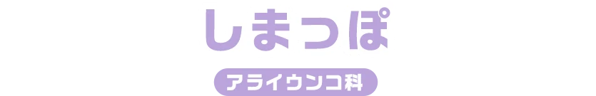 しまっぽ / アライウンコ科
