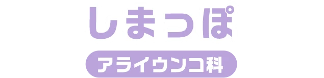 しまっぽ / アライウンコ科