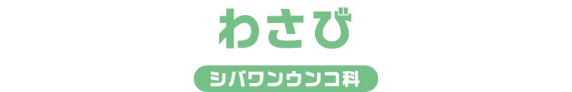わさび / シバワンウンコ科